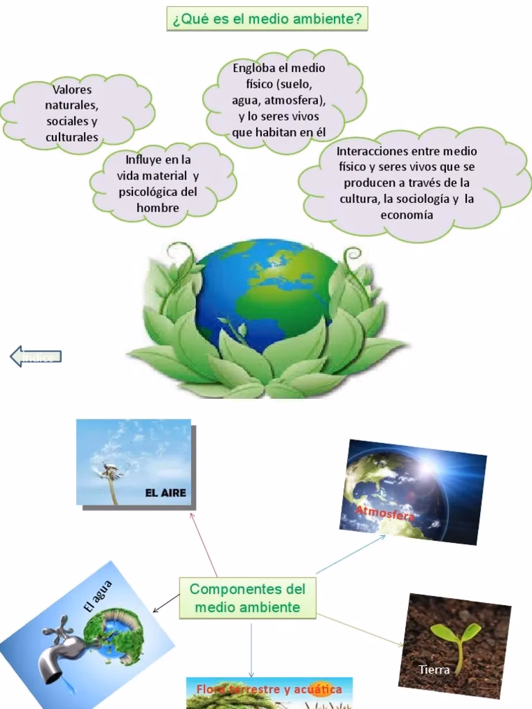 ¿Cuál es la principal fuente de energía del Medio Ambiente?