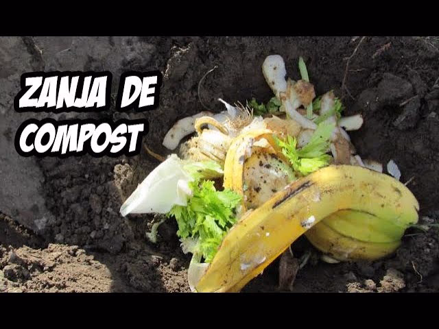 ¿Por qué el compostaje genera malos olores?