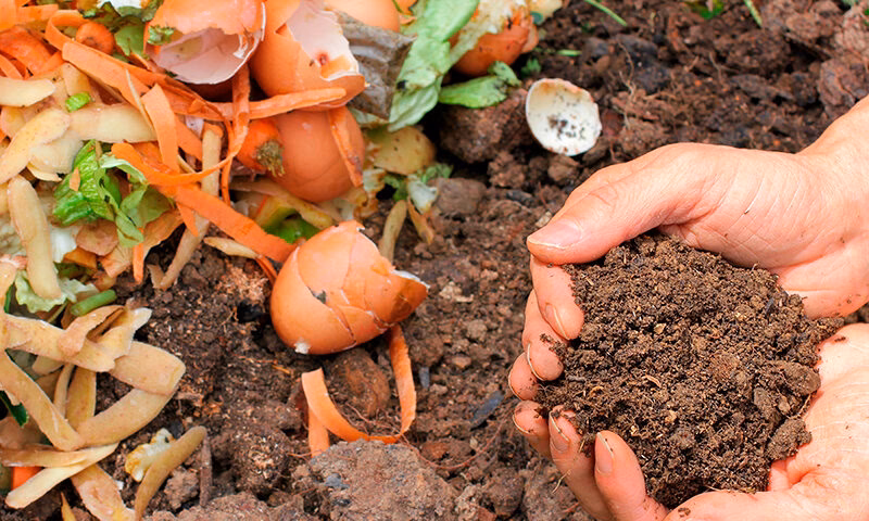 ¿Qué es el compostaje?