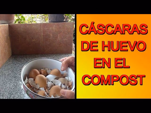 ¿Cómo se puede usar la cáscara de huevo para reducir la basura?