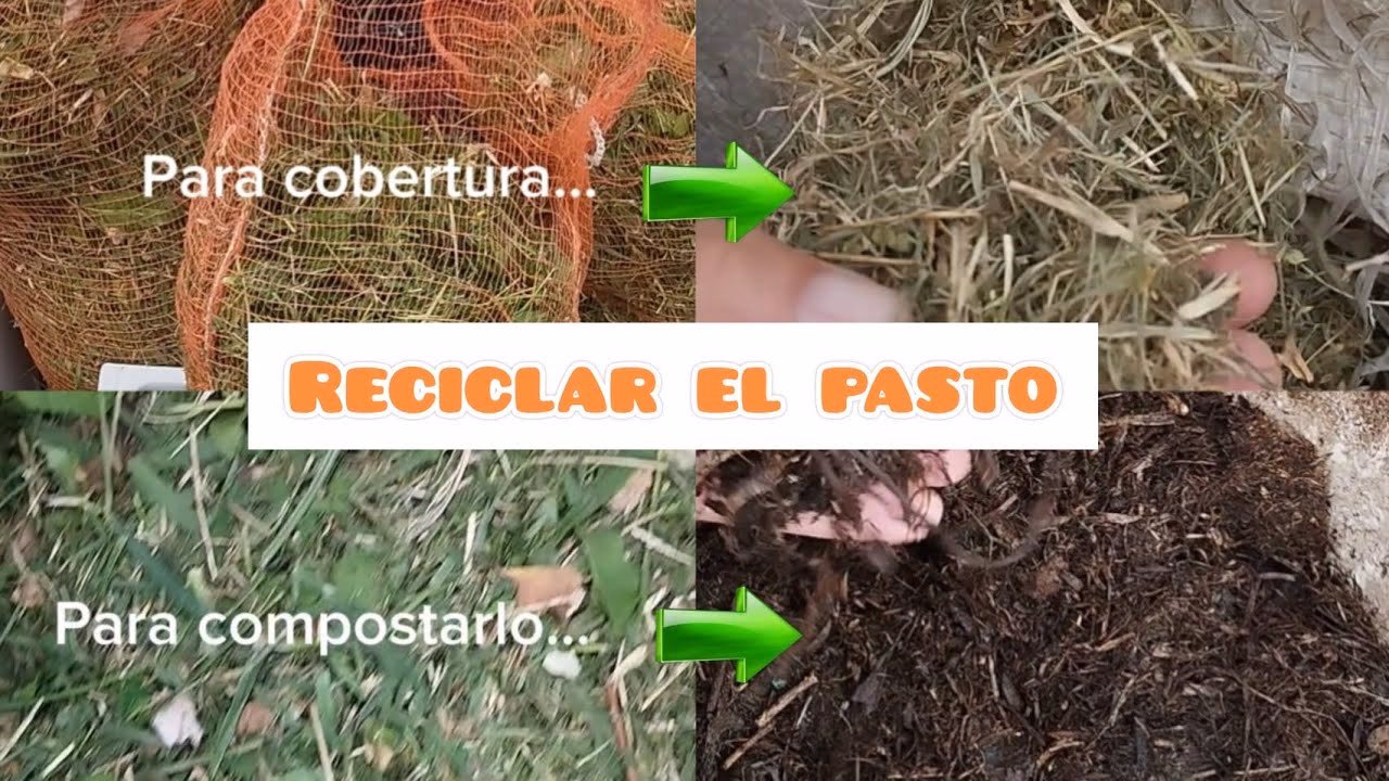 ¿Cuánto tiempo tarda en hacer efecto el compostaje?