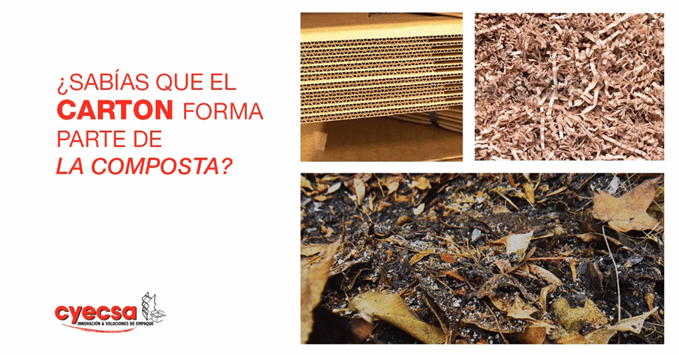 ¿Cómo convertir el cartón en compost?