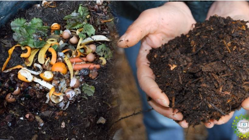 ¿Qué es el compostaje comunitario?