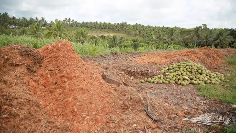 ¿Qué son los baños de compostaje?