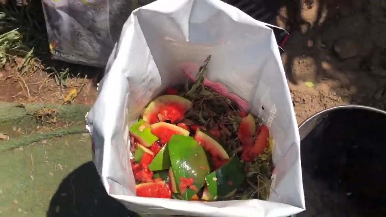 ¿Qué son las bolsas biodegradables o compostables?