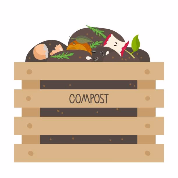 ¿Cómo hacer el compostaje?