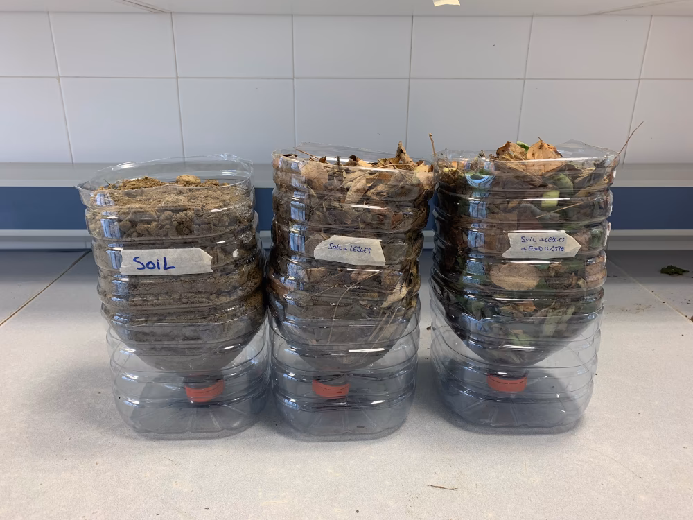 ¿Cuántas botellas de compost se pueden obtener?
