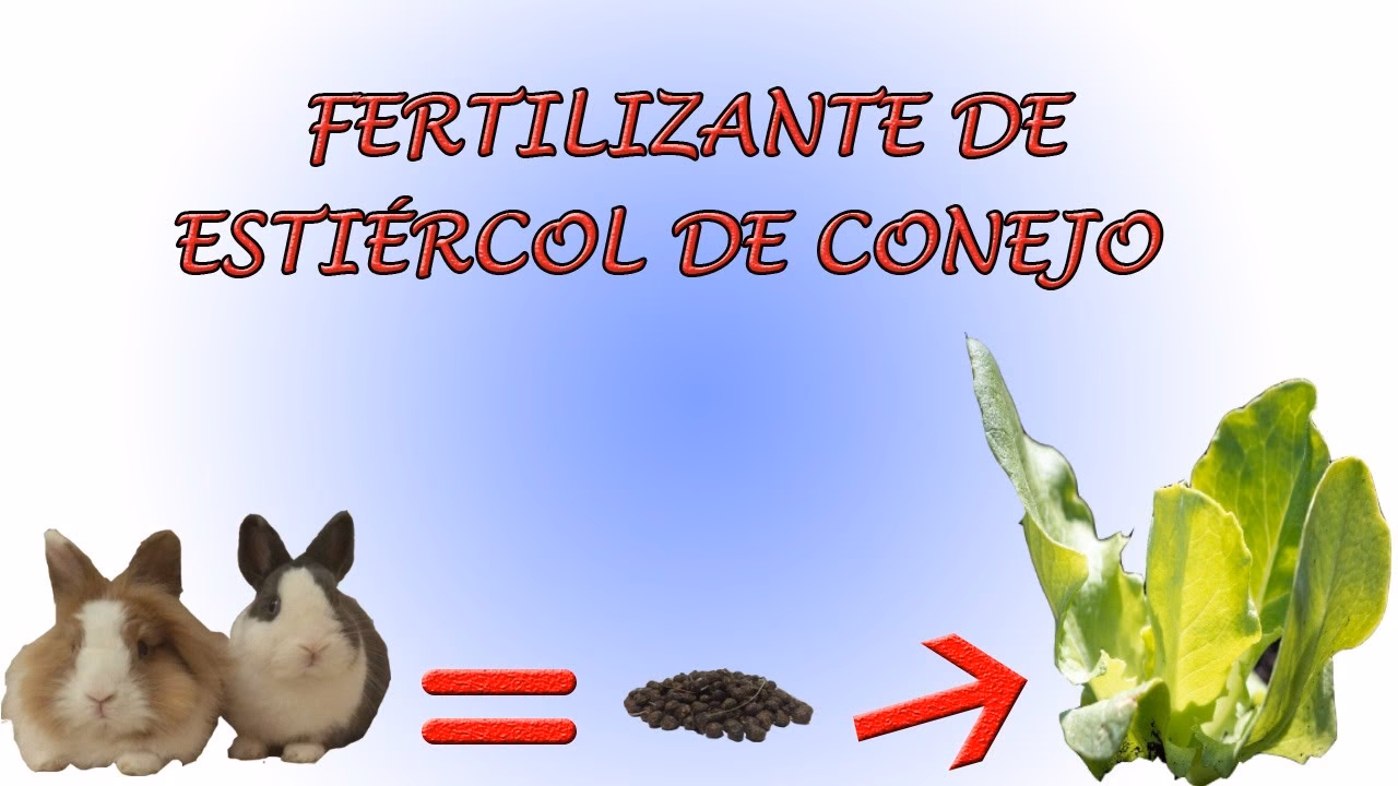 ¿Cuál es la composición del excremento del conejo?