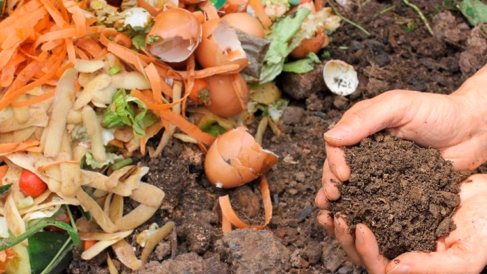 ¿Qué es el compostaje en comunidad?