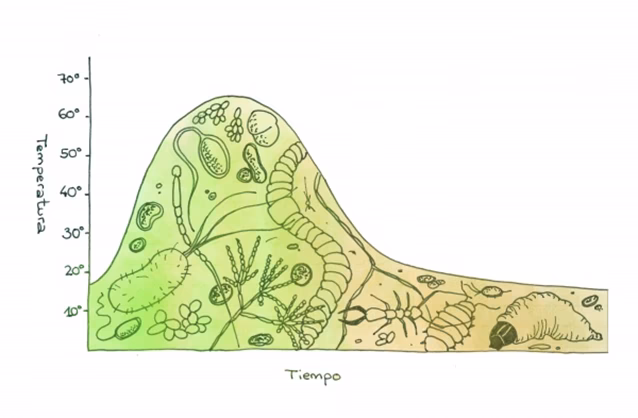 ¿Cuáles son los organismos que llevan a cabo el proceso de compostaje?