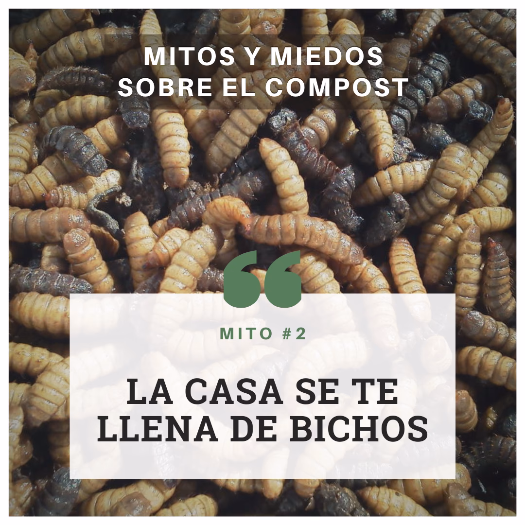 ¿Cómo evitar los mosquitos en el compostador?