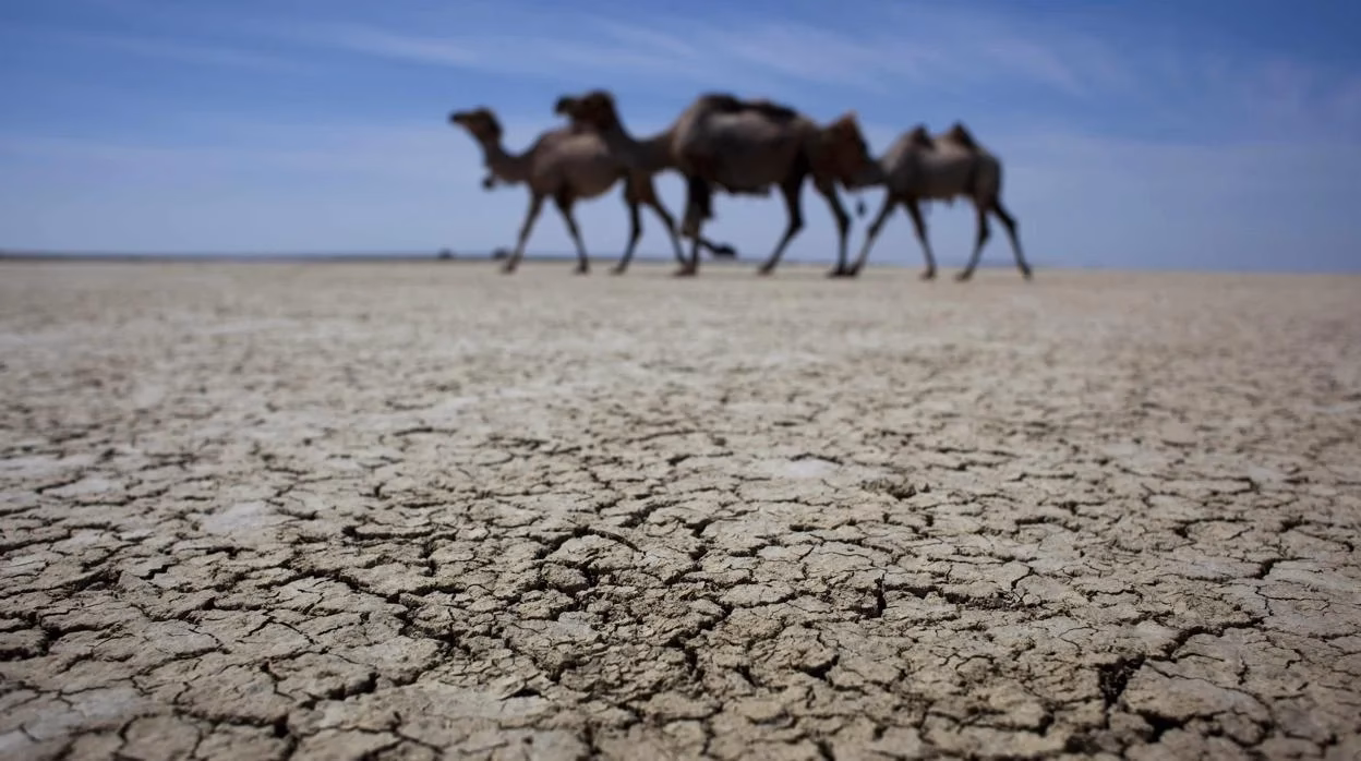 ¿Cómo afecta el medio ambiente a las comunidades?