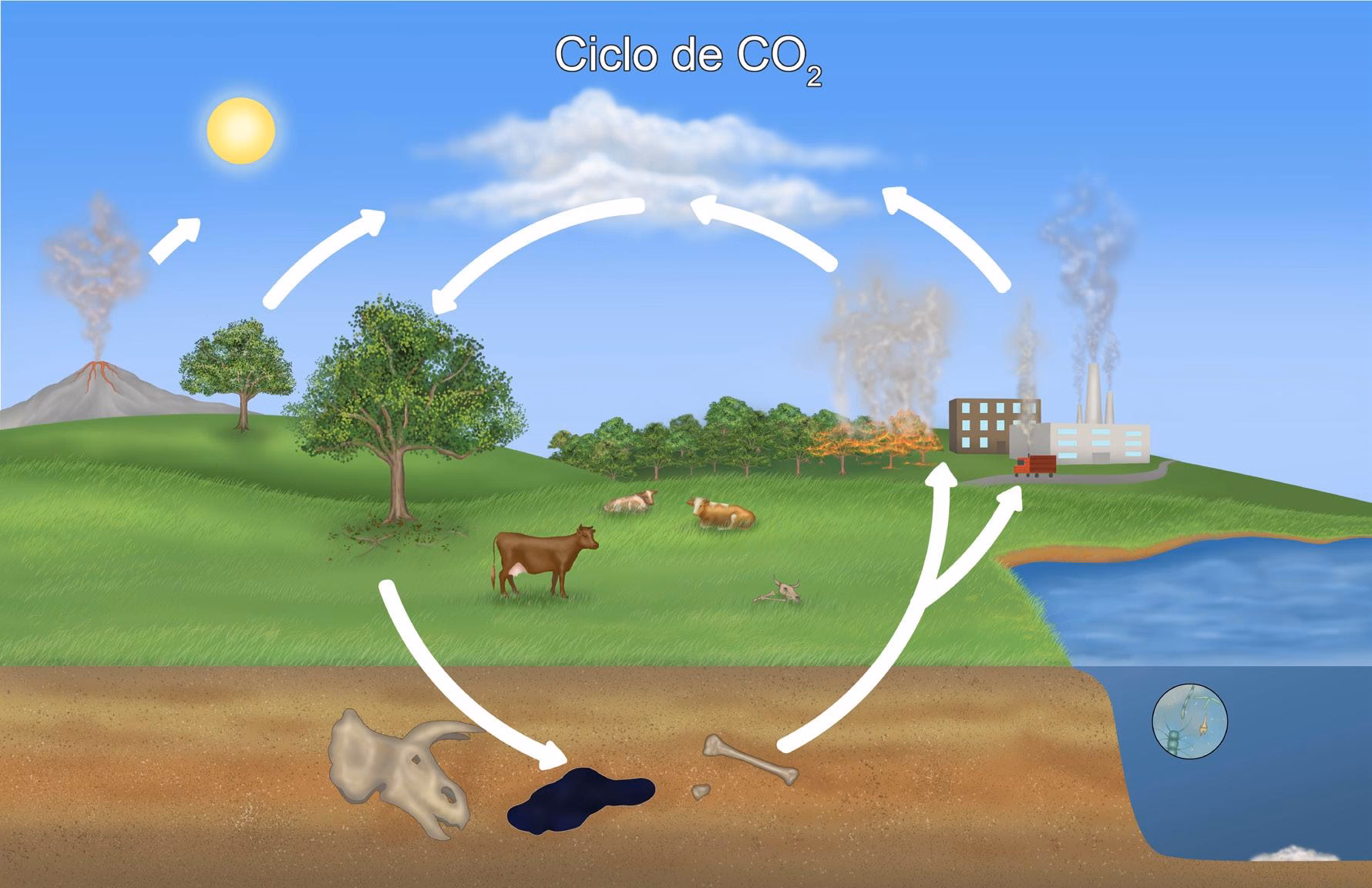¿Quién es el diputado de la Comisión de Medio Ambiente y Cambio Climático del Congreso?