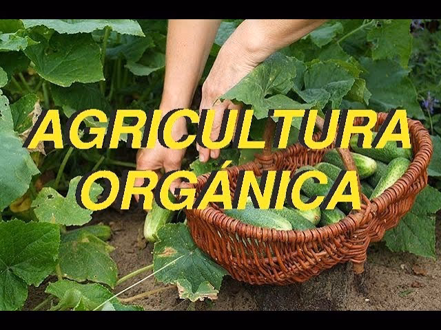 ¿Cuál es la historia de la agricultura orgánica?