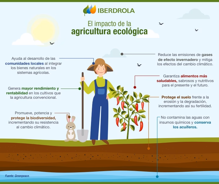 ¿Cuál es la diferencia entre la agricultura convencional y orgánica?
