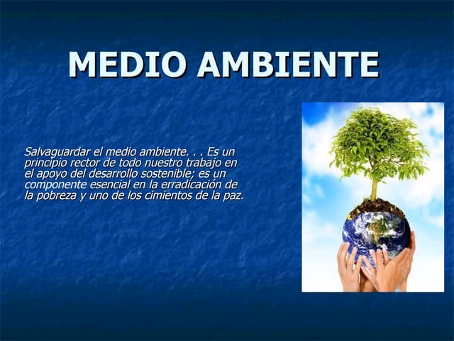 ¿Cuál es la definición del Medio Ambiente?