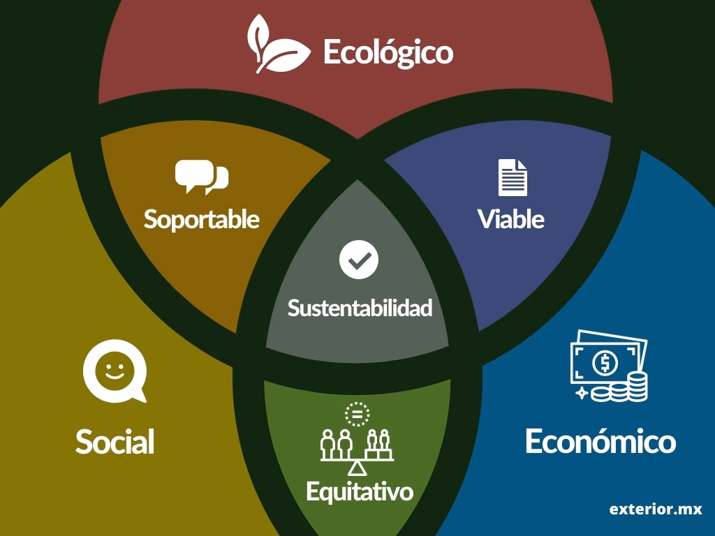 ¿Cuáles son los principios de sustentabilidad ejemplos?