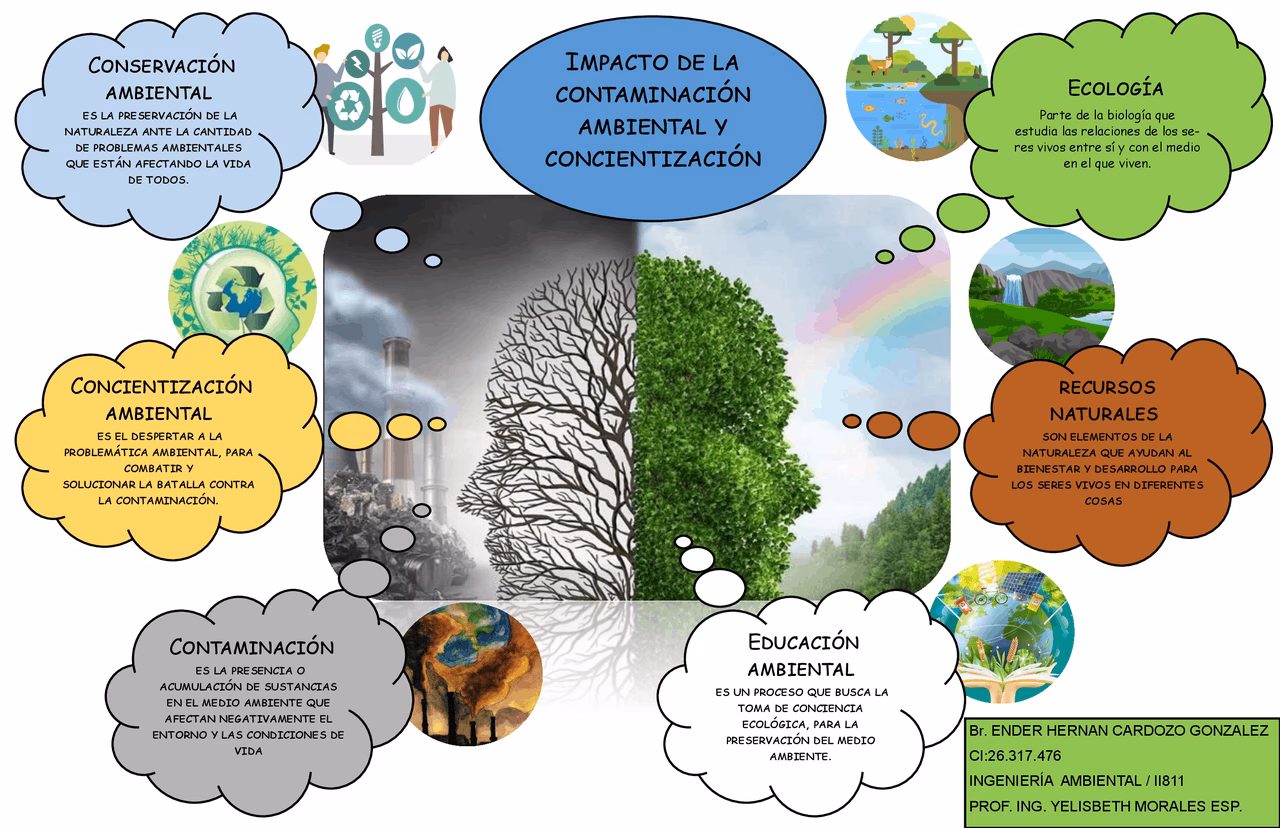 ¿Cuáles son las causas de la contaminación ambiental?