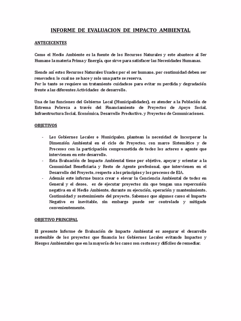 ¿Cuáles son las conclusiones en materia de impacto ambiental?