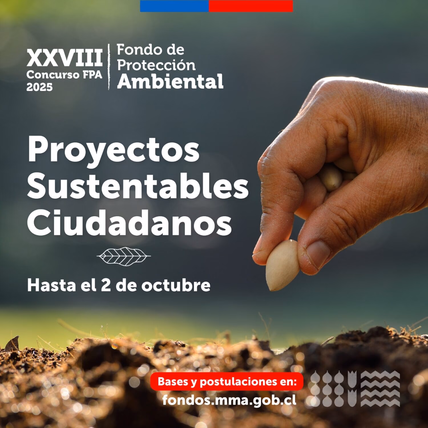 ¿Cuáles son los organismos públicos que necesitan el concurso de Estudios Ambientales?