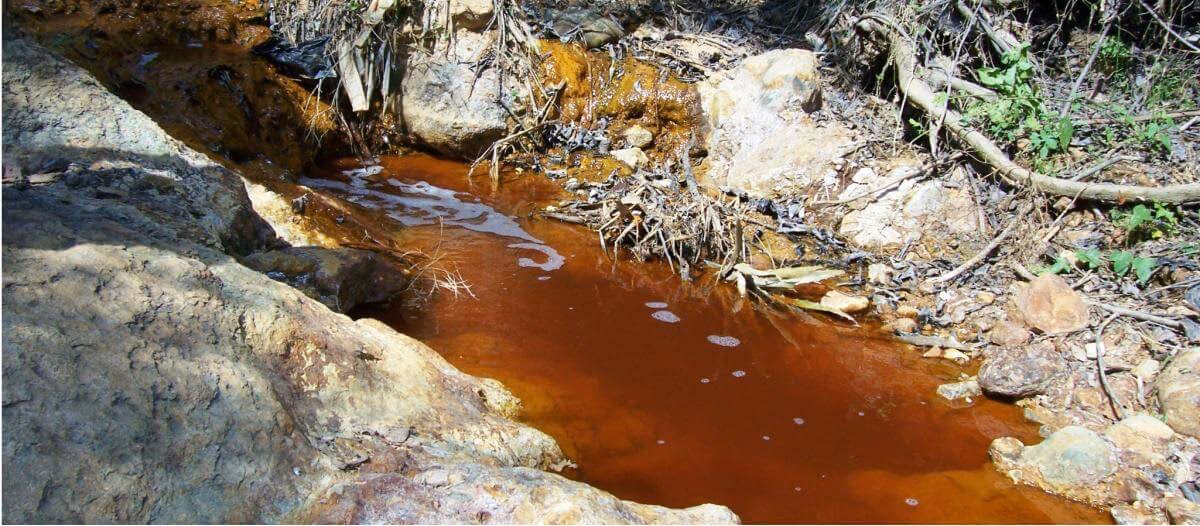 ¿Cómo afecta la conductividad del agua a la biodiversidad?