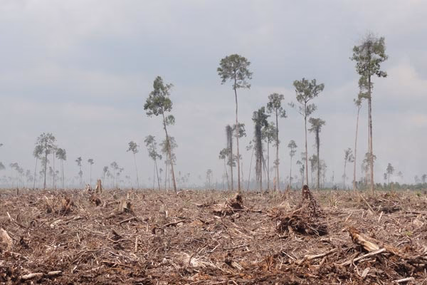 ¿Qué es el conflicto ambiental?