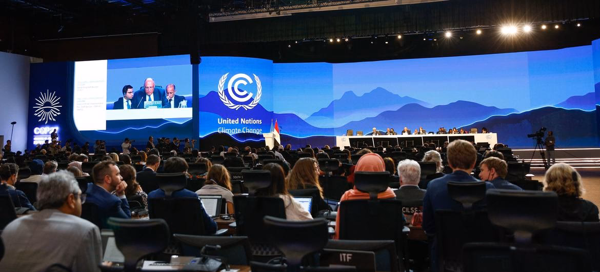 ¿Cómo podemos mantener la biodiversidad frente al cambio climático?