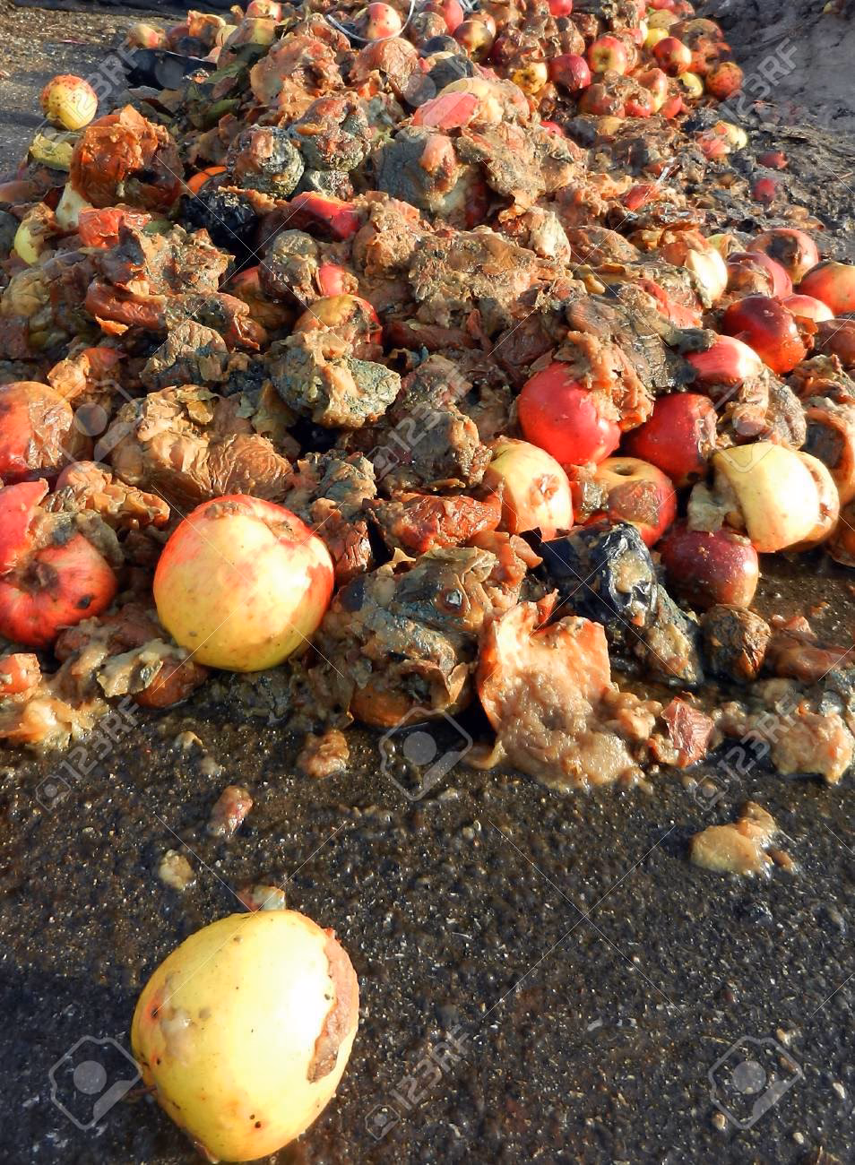¿Por qué la hacienda está mezclando peras con manzanas?