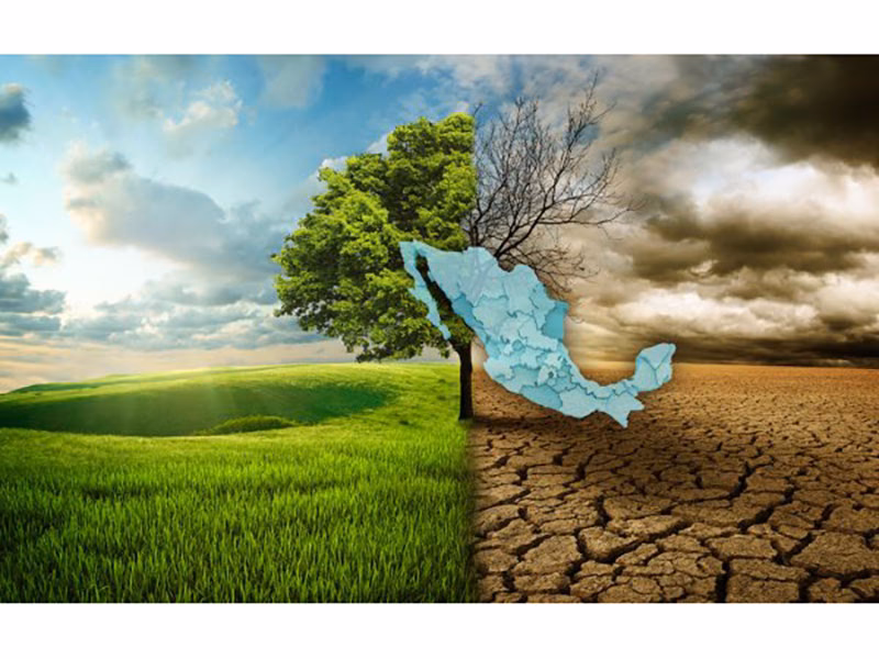 ¿Cuáles son las consecuencias del cambio climático?