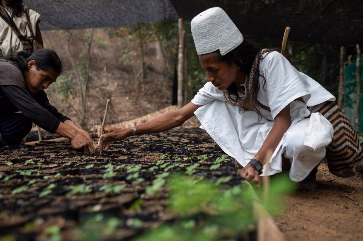 ¿Cuál es el impacto poblacional sobre el medio ambiente?