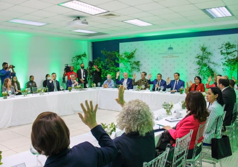 ¿Quién puede delegar su representación en el Consejo Nacional del ambiente?