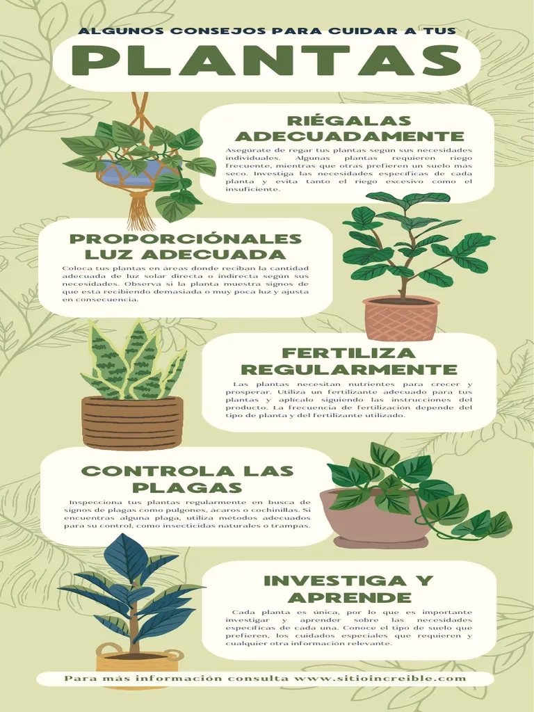 ¿Cómo podemos cuidar nuestro entorno natural?