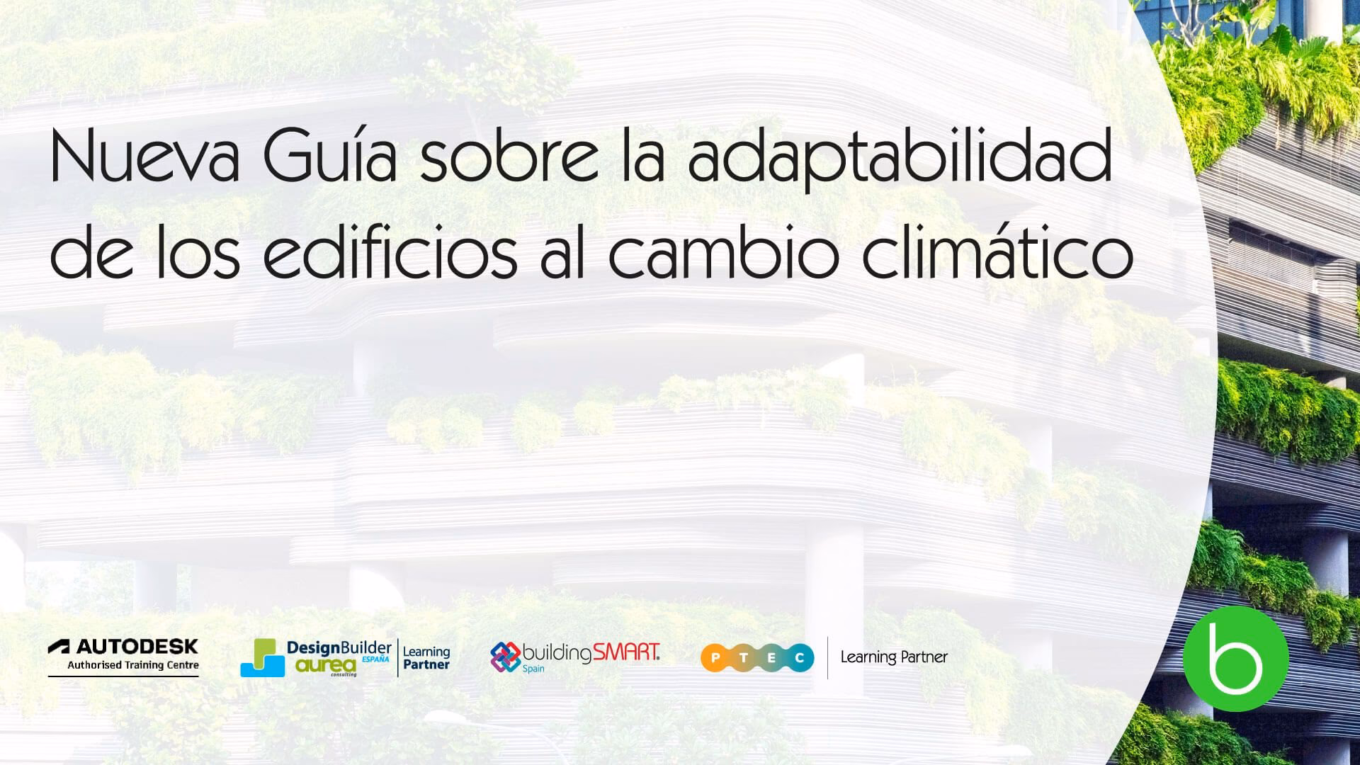 ¿Qué estrategias existen para mitigar el cambio climático?