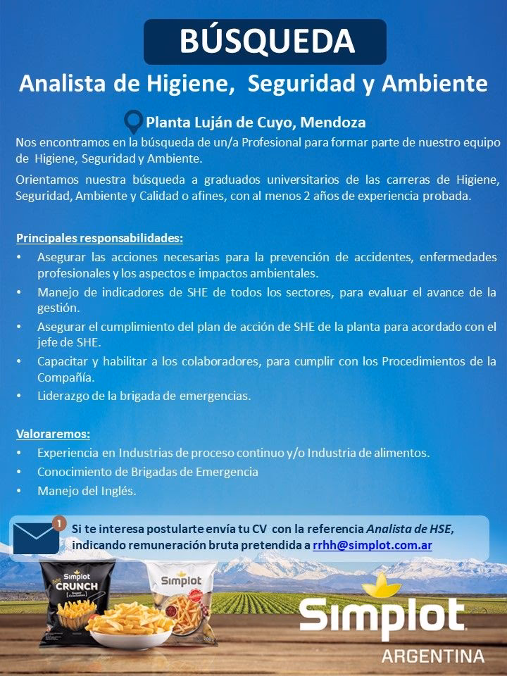 ¿Qué hacen los consultores de seguridad e higiene laboral?