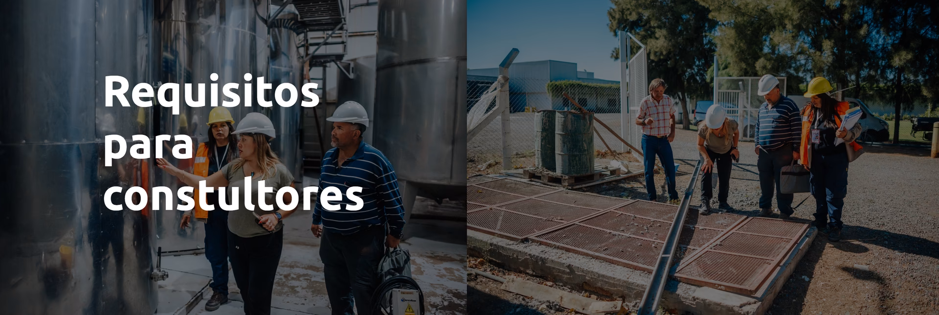 ¿Dónde se encuentran los consultores ambientales?