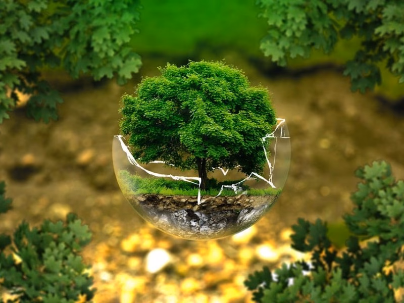 ¿Qué hace una consultoría medioambiental?