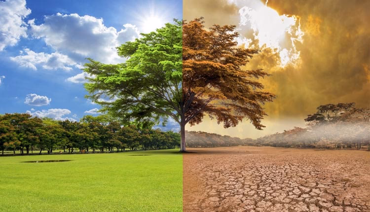 ¿Por qué no se incrementa el consumo de productos ecológicos?