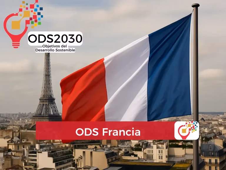 ¿Por qué los franceses compran electrodomésticos usados?