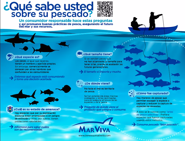 ¿Cómo diversificar el consumo de pescados y mariscos?