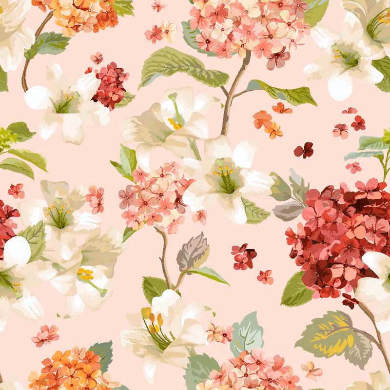 ¿Por qué las flores de la Hechtia mueren después de la floración?