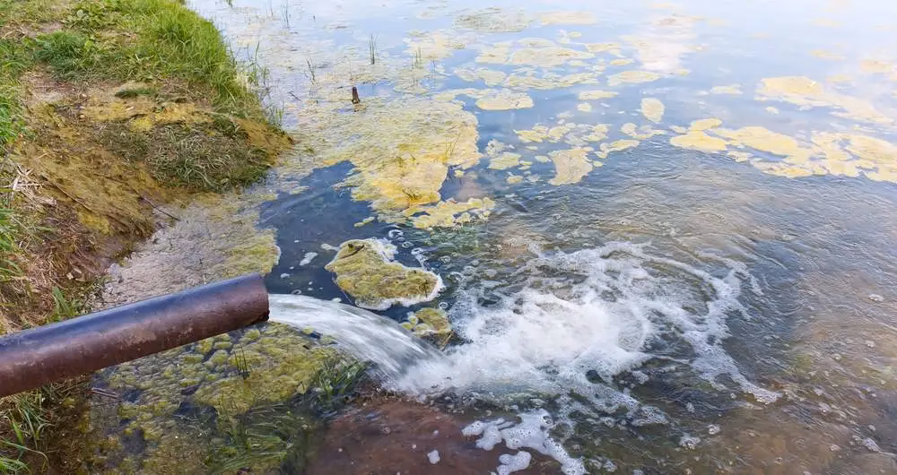 ¿Cuáles son los delitos ambientales en Argentina?