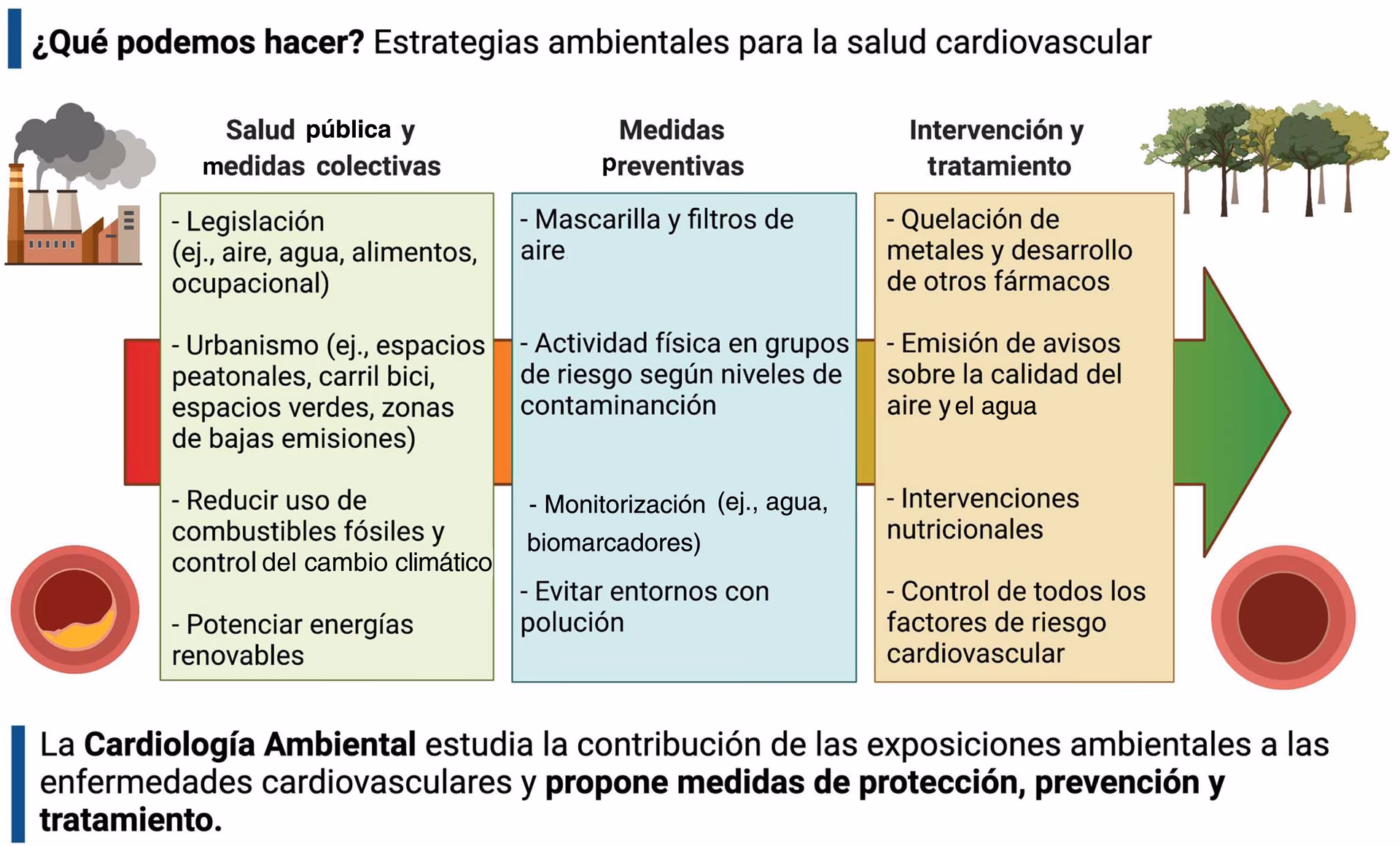 ¿Cuál es el impacto de la contaminación del aire en la enfermedad cardiovascular?