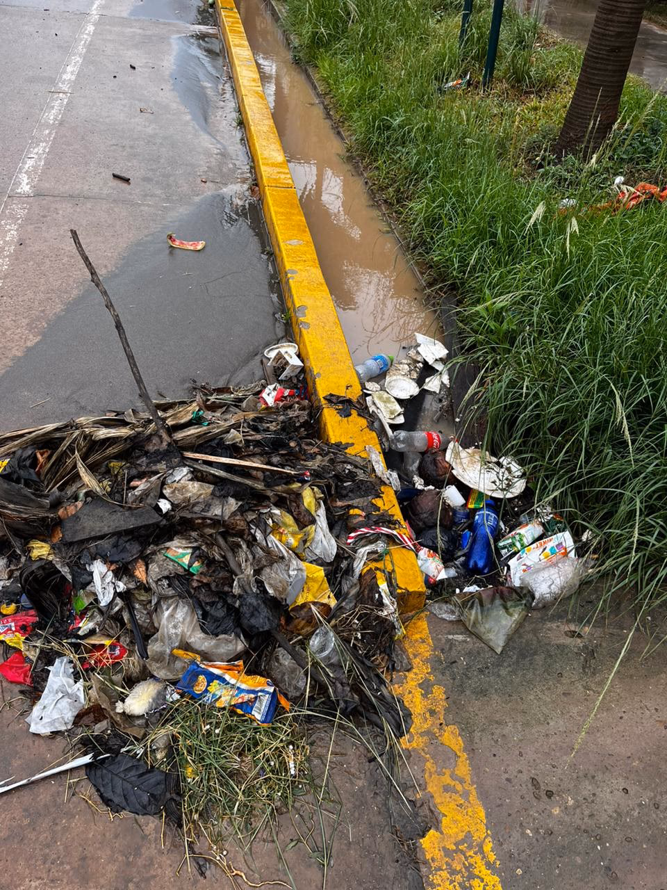 ¿Cuáles son las causas del impacto ambiental en la comunidad?