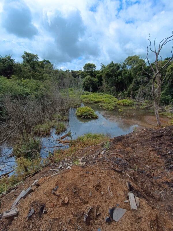 ¿Cuáles son las infracciones ambientales más frecuentes en misiones?