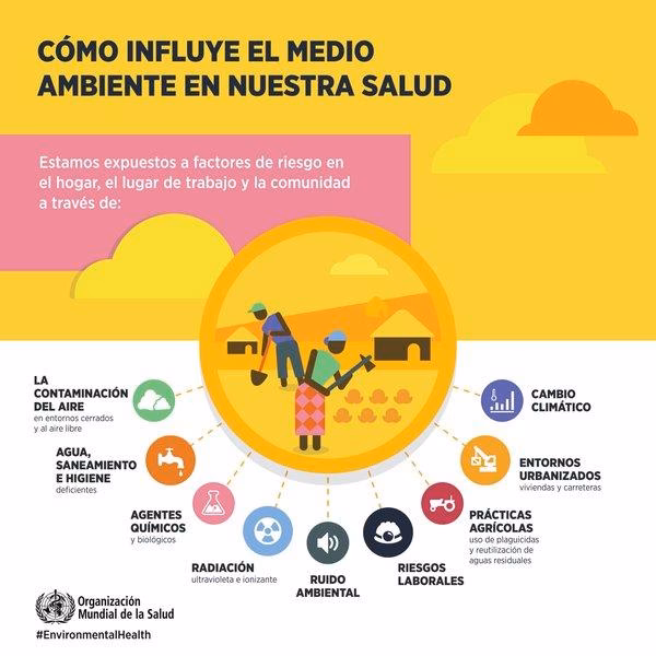 ¿Cuáles son las consecuencias de la contaminación del ambiente?