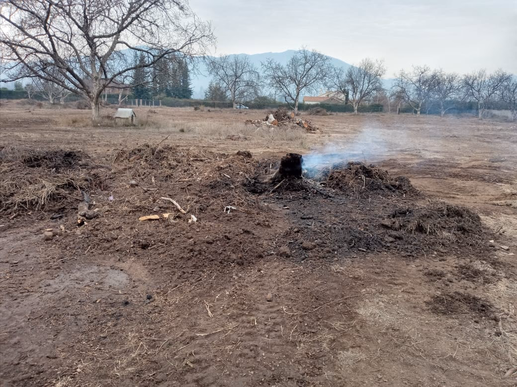 ¿Cómo ha afectado la contaminación en el valle de México?