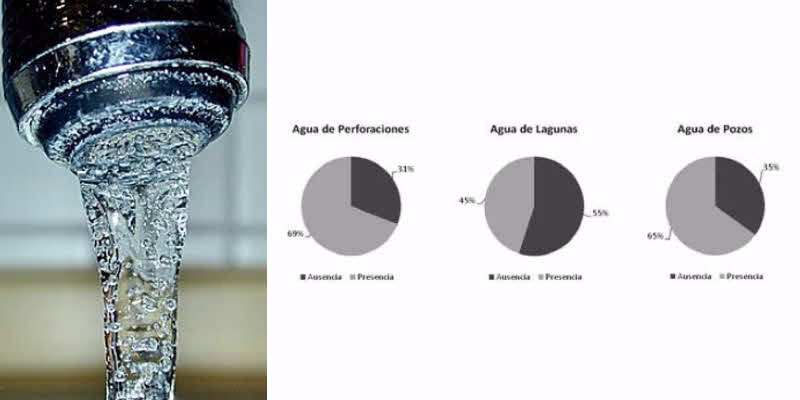 ¿Cuáles son los indicadores de contaminación?