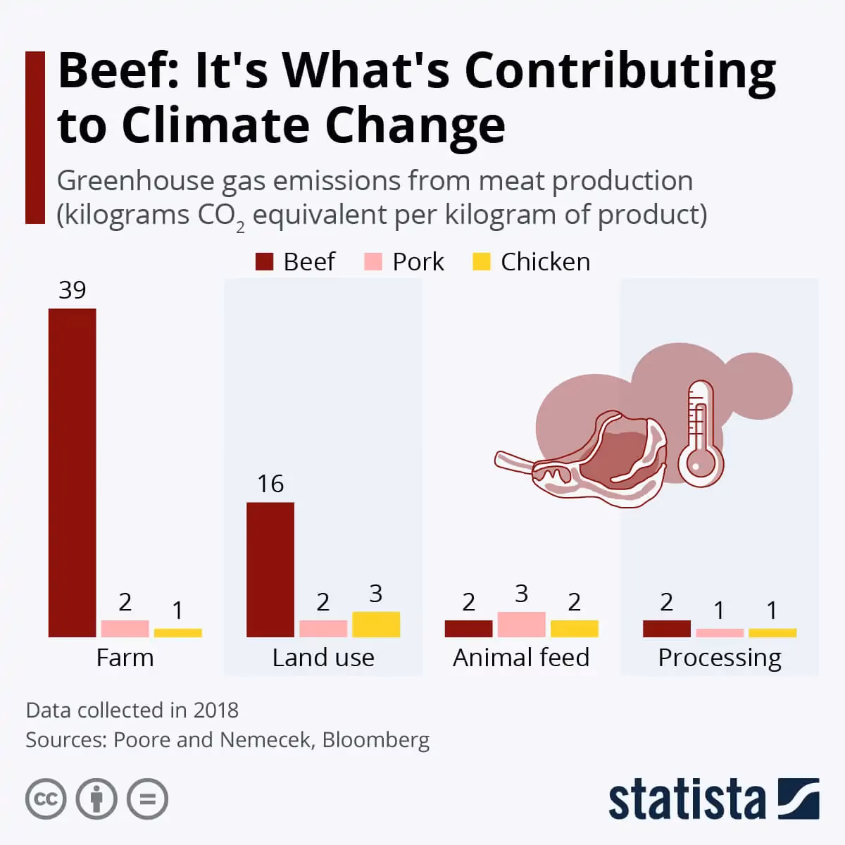 ¿Cuáles son las consecuencias de la ingesta excesiva de carne?