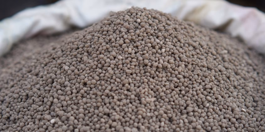 ¿Cuáles son los alimentos contaminados con amianto?