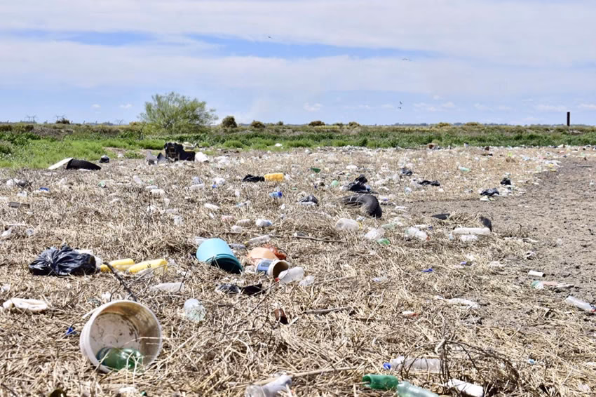 ¿Por qué surgió la idea de la contaminación en Bahía Blanca?